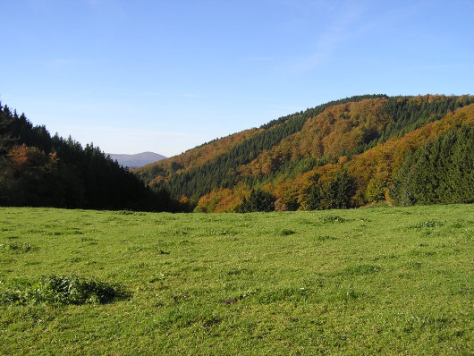 Start- und Endpunkt der Wanderung war der Parkplatz "Auf der Wede"